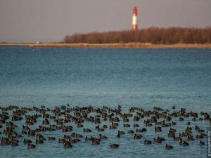 Ferienwohnung in Orth auf Fehmarn