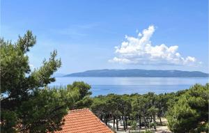 Beautiful Apartment In Makarska With Lake View