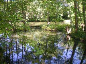 B&B / Chambres d'hotes Les Jardins d'Ungaro / Manoir La Barriere : photos des chambres