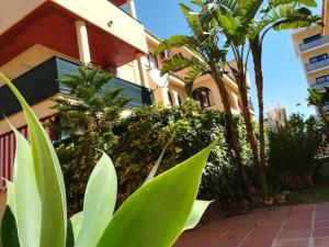 Sun Beach Apartment