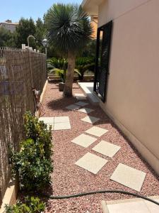La Zenia12