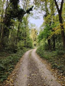 NATURKERT Vendégház