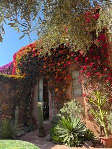 Villa #1 ‘Rosalie’