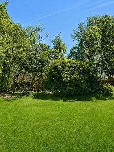 Contemporary Comfort - Sleeps 6