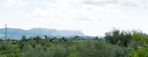 Villa Rosa img1