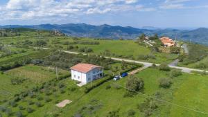Villa Rosa img63