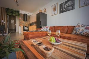 Czarny Słoń - elegancki apartament z klimatem