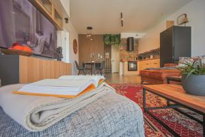 Czarny Słoń - elegancki apartament z klimatem