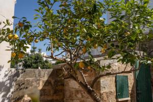 Dimora Storica Laura - Salento Reservation
