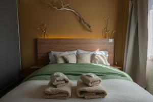 Campichuelo Suits