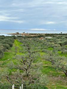 Alatia Sea View Home