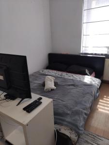 Studio flat in Colditz
