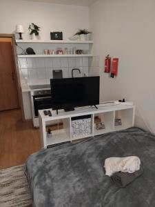 Studio flat in Colditz
