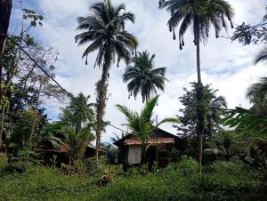 Charming Cabin Retreat in Buenaventura with Garden BBQ