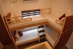 Dune Hostel - Dune Homestay