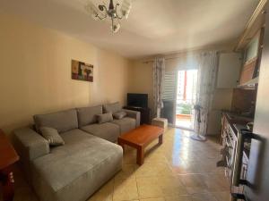 Apartament Mali i Robit