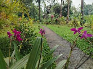Sigiriya Dreamscape Villa