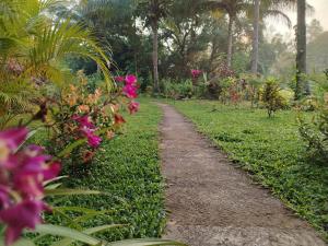 Sigiriya Dreamscape Villa