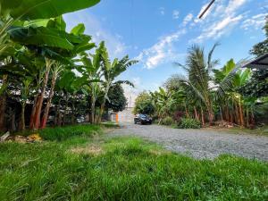 Suite completa con jardin y parqueo privado