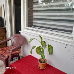 Apartman Suva reka