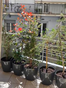 Kypseli Apartment