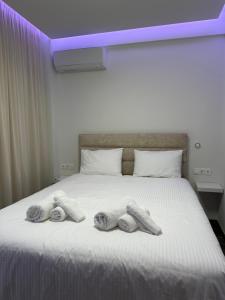 Firas stay apartment in the centre of Athens
