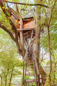 B&B La Cabane Insolite