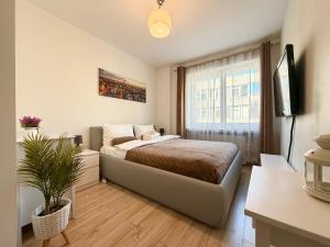 Rynek Wrocław Harmony Apartment by BookingHost