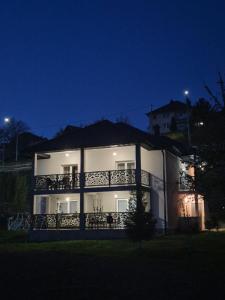 Plav`s dream