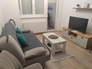 Apartman Simić Banja Koviljača