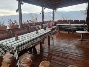 Villa Syri i Shqiponjës