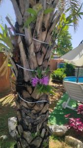 Habitacion en Villa Taormina