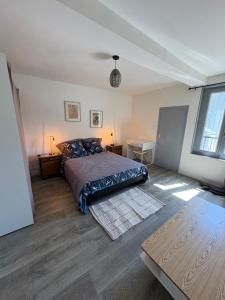 SUPERBE APPARTEMENT MEUBLE DE TOURISME BEZIERS Centre ville