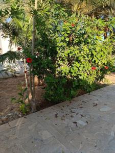 Magnifique villa pied dans leau ou presque!