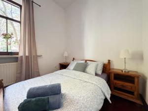 Lumberjack suite - Comfortable sleep up to 9 people with 2 bathrooms