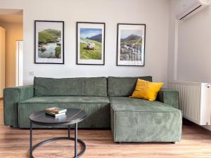Modern Spacious Mountain View Apt