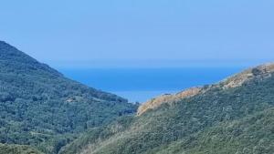Lumira Vista Panorama Sea View Apartment