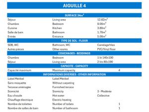 Résidence Aiguille Du Fruit Bas - CHARMANT 2 PIÈCES RENOVÉ, BALCON SUD MAE-7640
