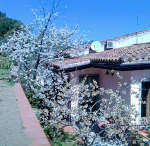 Monti e Mare img3