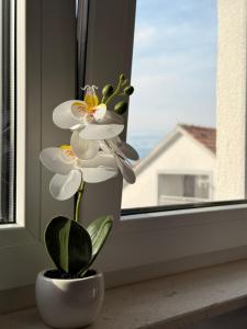 Easy Stay Zadar