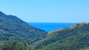 Lumira Vista – Panorama