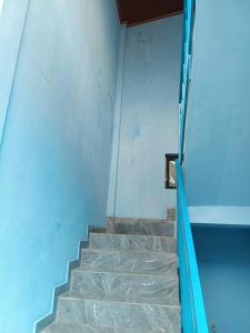Mimosa Homestay