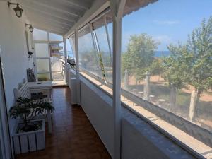 Sea View Roof Garden