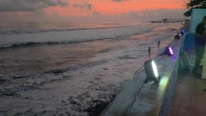 Entre olas 503