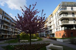 Blue Sky Cozy Apartment Free Parking by Good Mood