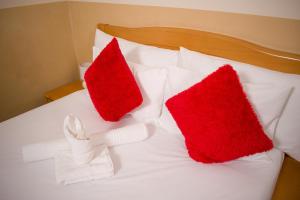 Airport Hotel Maun