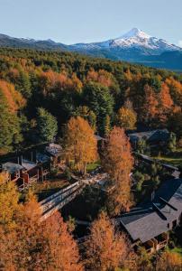 Ni-Newen Hotel & Lodge