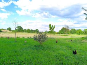 Evasion nature, appartement avec grand jardin