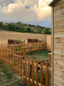 Heated shepherds hut overlooking open countryside
