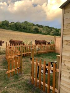 Heated shepherds hut overlooking open countryside